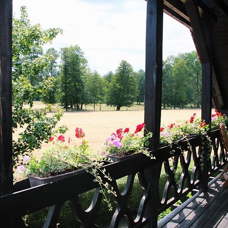 Landgasthof Zur Wildbahn 布尔格 外观 照片