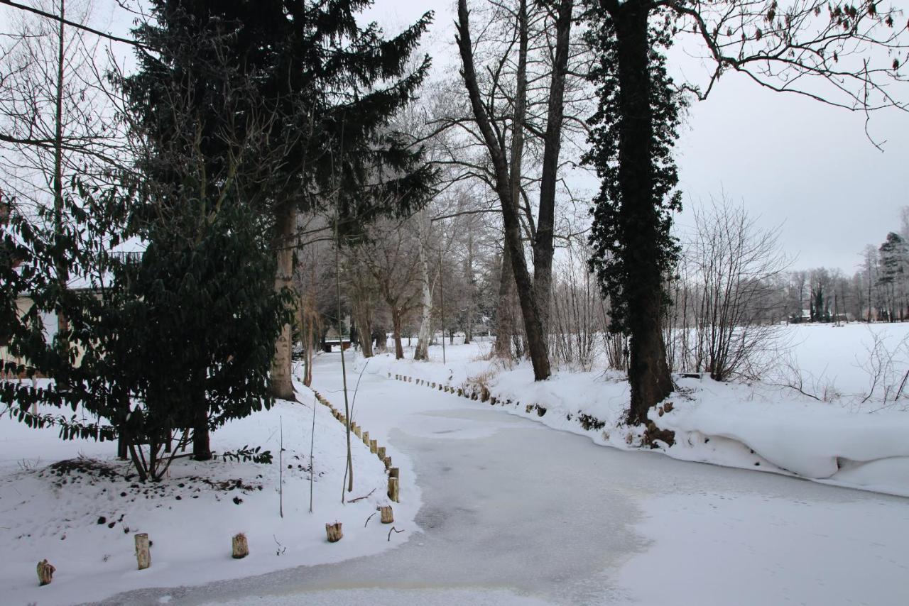 Landgasthof Zur Wildbahn 布尔格 外观 照片